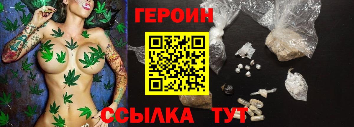 ГЕРОИН хмурый Камышин